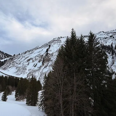 公寓 Damuelser Horn *