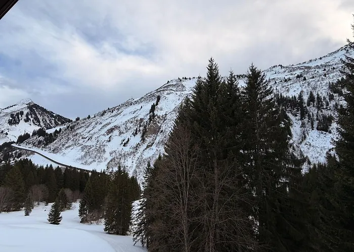 Apartment Damülser Horn *