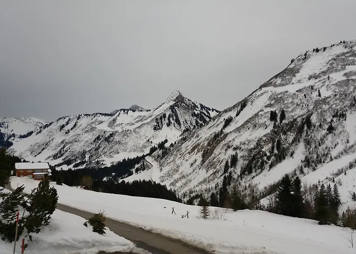 公寓 Damuelser Horn 达米尔斯